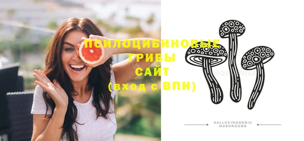 шишки Вяземский