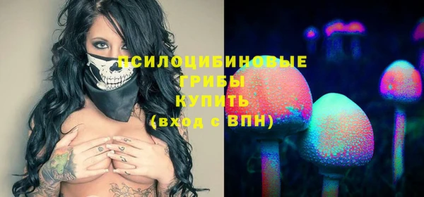 прущая мука Вязьма